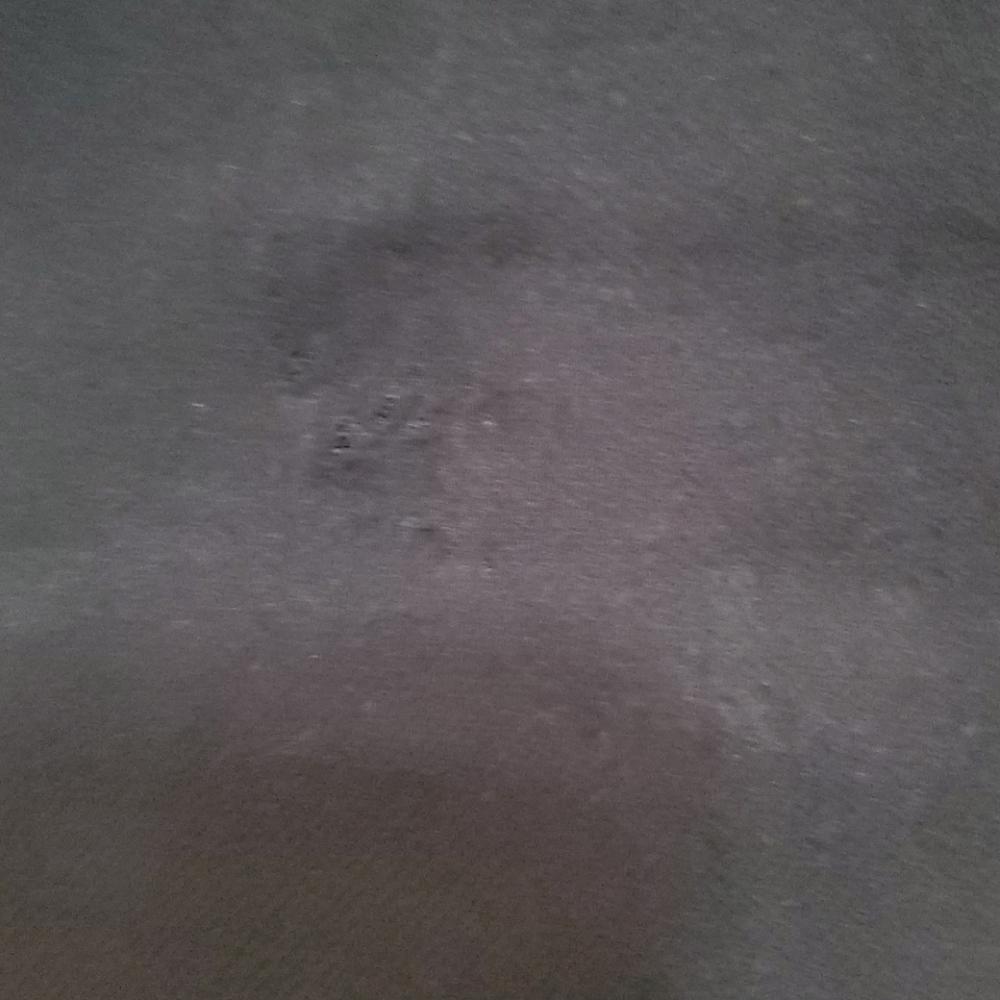 🔥5 for $25🔥Jeggings - Picture 4 of 4
